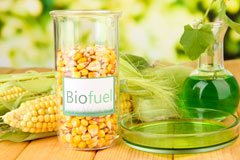 Overstrand biofuel availability